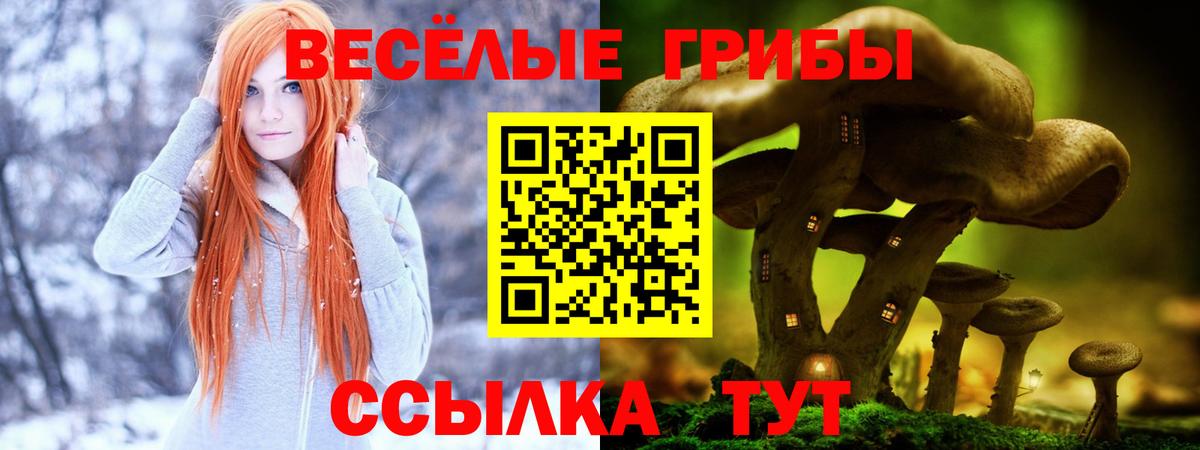Белорецк  Галлюциногенные грибы Psilocybe  Вход с VPN 